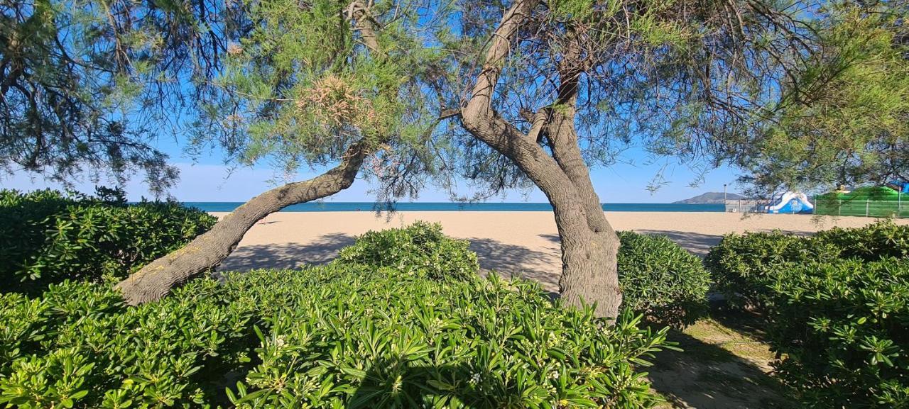 Hotel Le Maritime Argeles-sur-Mer Bagian luar foto