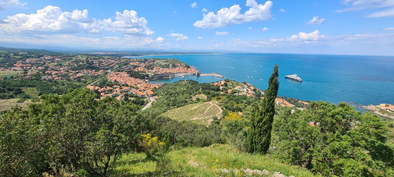 Hotel Le Maritime Argeles-sur-Mer Bagian luar foto