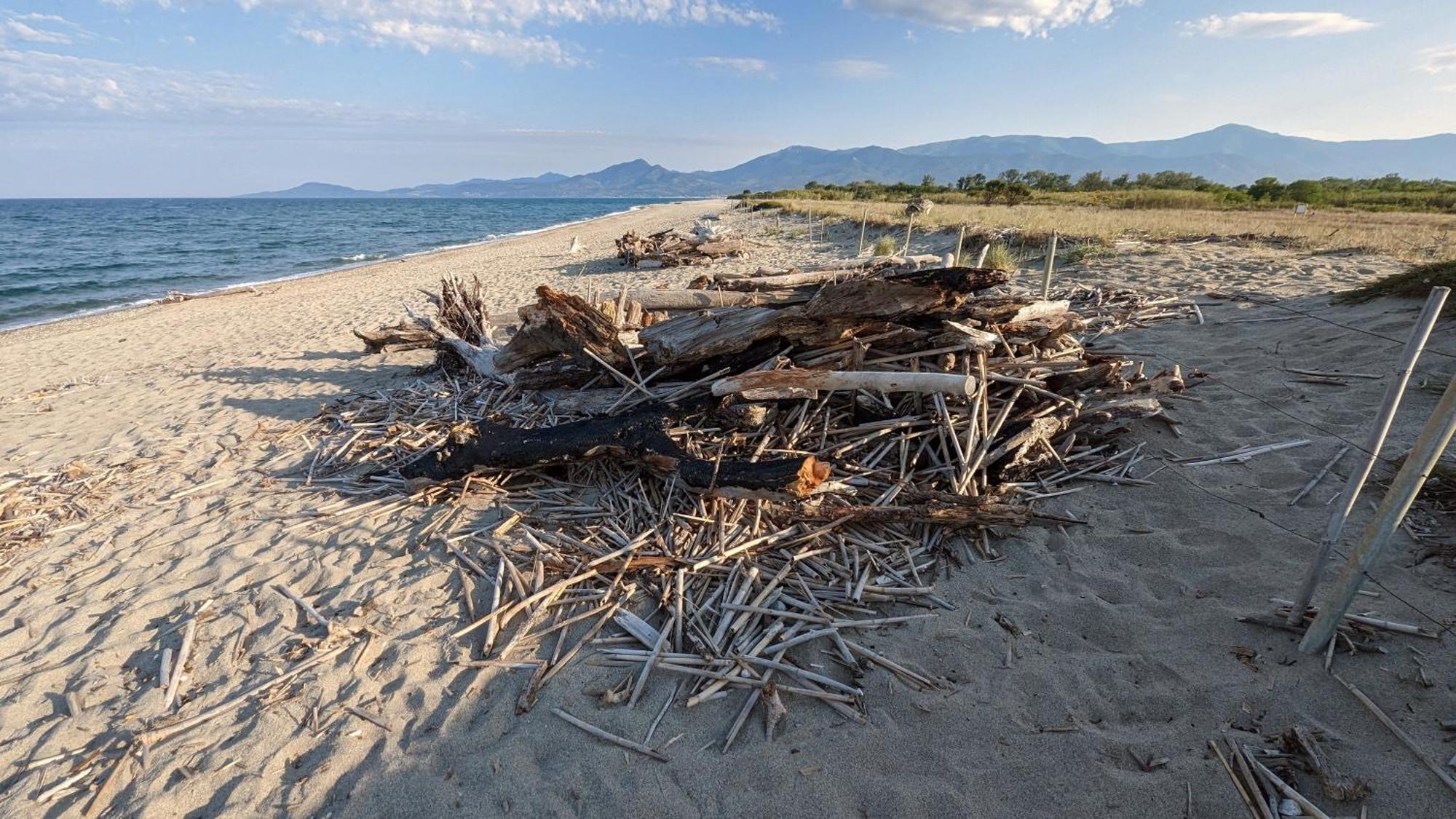 Hotel Le Maritime Argeles-sur-Mer Bagian luar foto